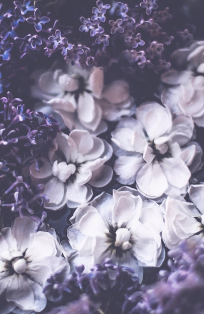 Photo vintage floral background