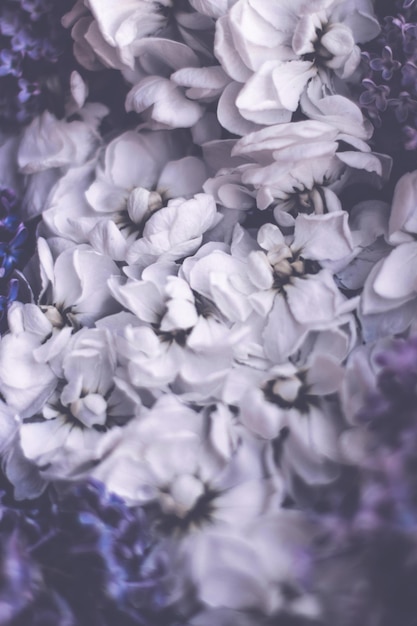 Photo vintage floral background