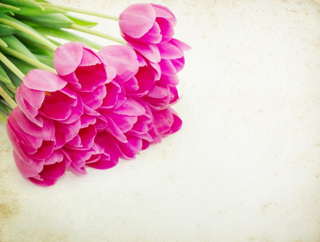 Photo vintage flower background