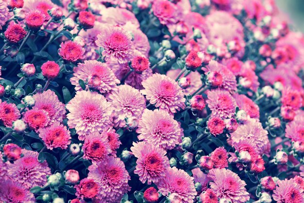 Vintage flower background