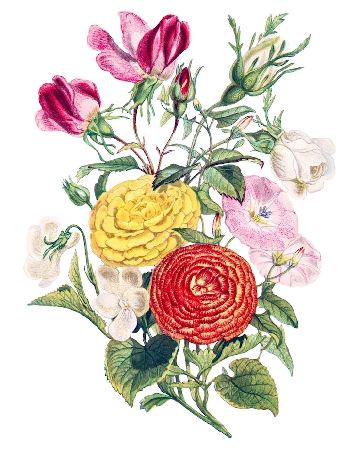 Photo ヴィンテージの花束 png 透明な背景