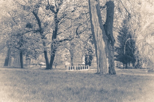 Vintage fotopark met bomen en paden