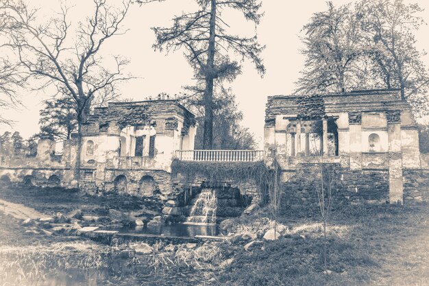 Vintage fotopark met oude ruïnes en een boom