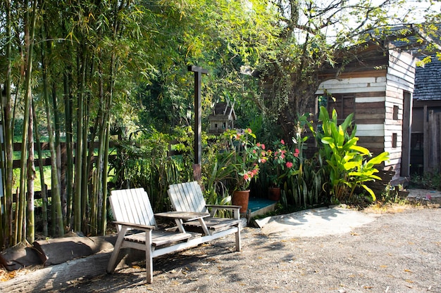 Vintage furniture in local garden of coffee shop and restaurant
in chiang rai thailand