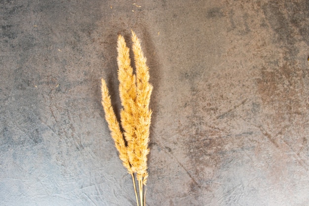 Vintage glass vase with relief ornament and dried grass. Trendy interior decoration. Hard sunlight on window sill and tulle curtain. Cozy home with dried fluffy plants.