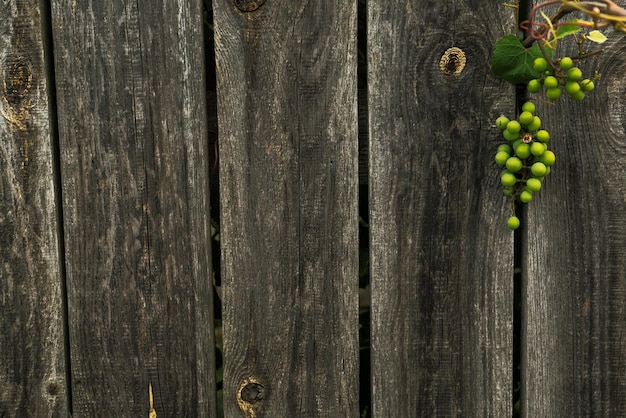 Vintage gray wooden background with a branch of grapes wood texture for text and inscriptions