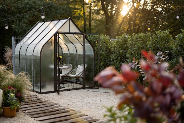 Vintage greenhouse in backyard