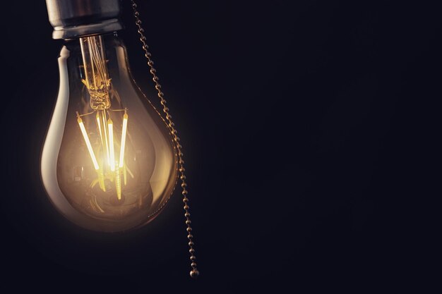 Vintage hanging light bulb with switch over dark background