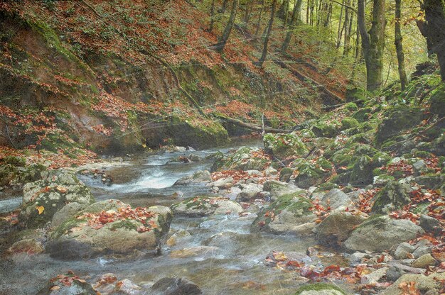 Vintage herfstbos