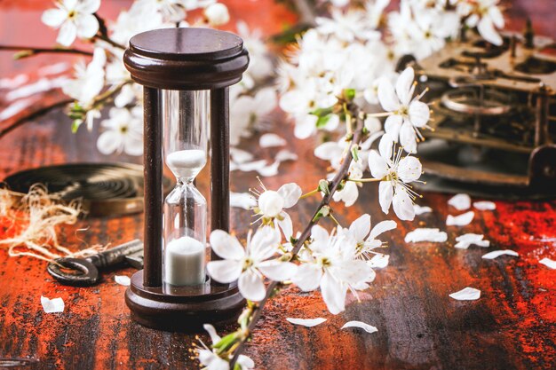 Старинные песочные часы с цветущей ветвью