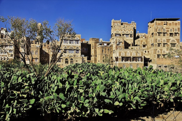 The vintage house in Sana'a Yemen