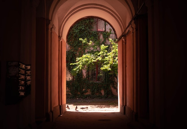 Vintage Italian alleys. Summer, sunny day