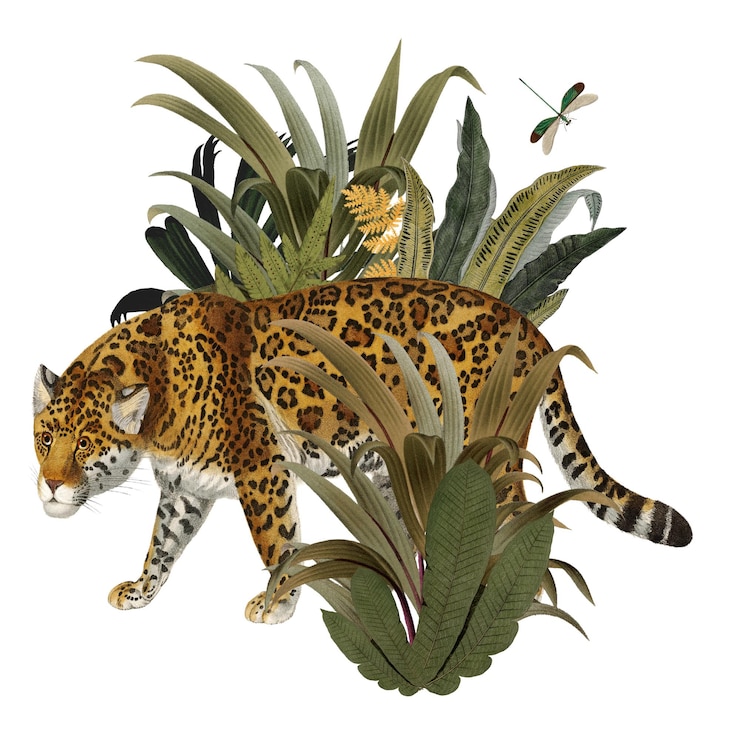 Foto vintage jaguar png tijger sticker doorzichtige achtergrond