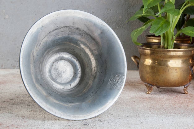 Vintage metal vase and green plants