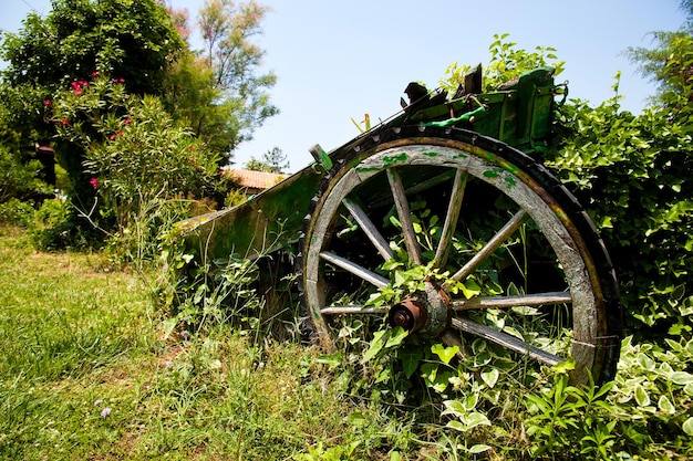 Vintage Old Horse Carriage Horse Cart For Farming