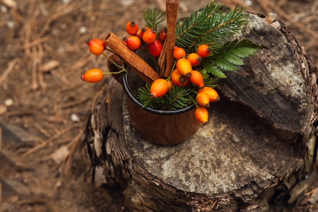 A vintage, old mug with rosehips, green leaves, spruce branches and cinnamon stands on a stump in the forest. New Year and Christmas background. Winter atmosphere. Healthy, herbal tea with berries