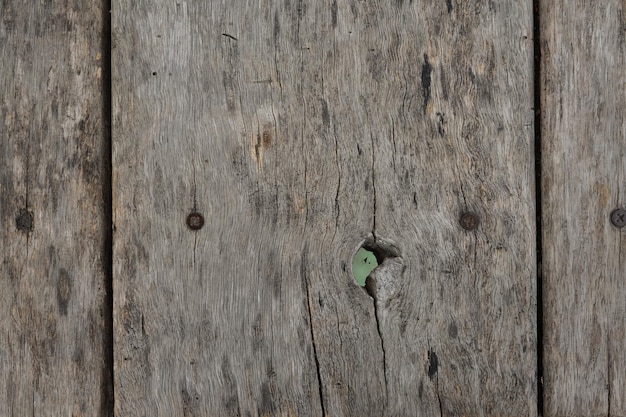 Foto sfondo in legno vecchio vintage consistenza di legno vecchio