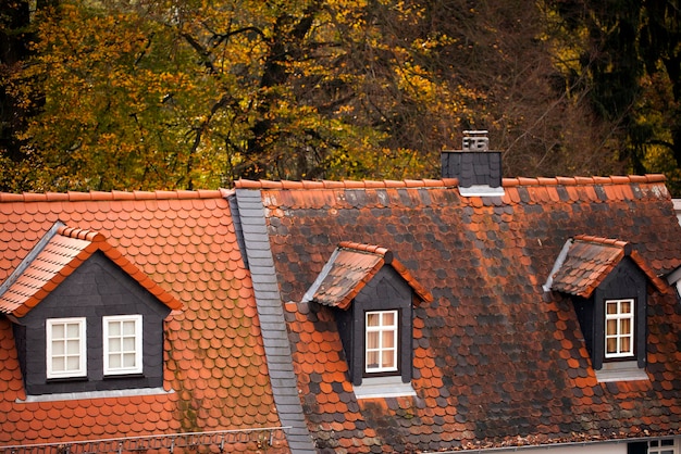 Vintage oude Duitse architectuur boerderij foto