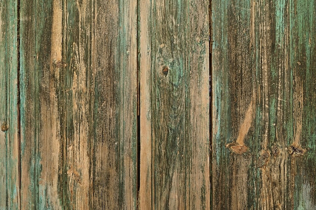 Vintage painted wooden background wall green