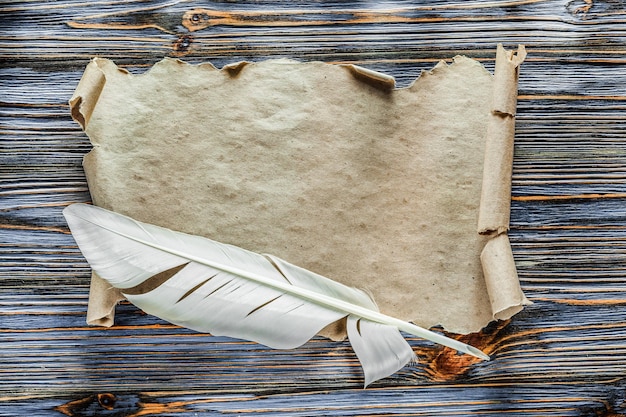 Vintage parchment plume on blue wooden board