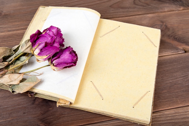 Vintage photo album on wood with dry flowers. 