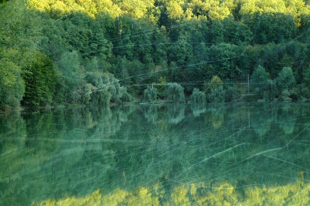 Vintage photo of an autumn forest and a lake