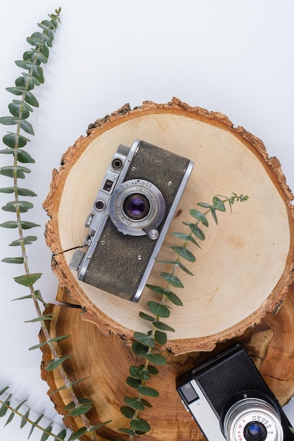 Vintage photo cameras on round wooden boards top view flat lay