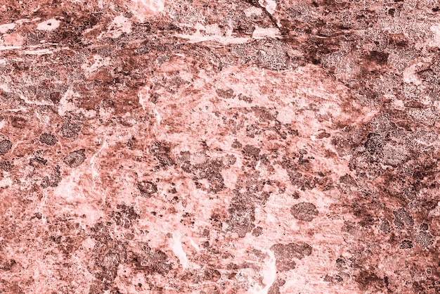 Vintage pink background. Rough painted wall of living coral color. Imperfect plane of beige colored. Uneven old decorative toned backdrop of beige tint. Texture of pink hue. Ornamental stony surface.