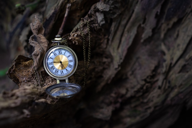 Vintage pocket watch on the old wooden background with copy space