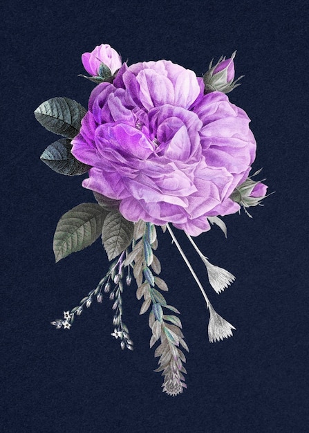 Illustrazione disegnata a mano del mazzo della rosa francese viola dell'annata