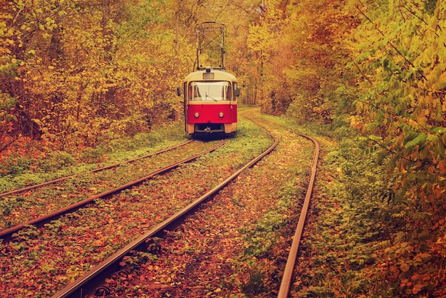 Vintage red tram