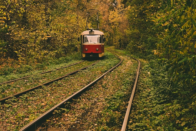 Vintage red tram