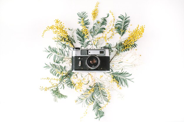 Vintage retro photo camera, yellow acacia flowers and green brunches