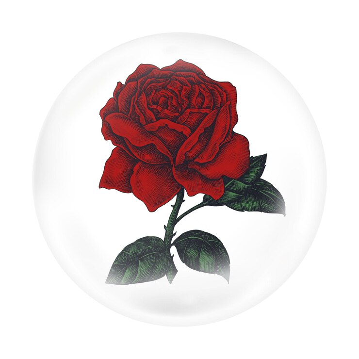 Photo vintage rose png element in bubble design