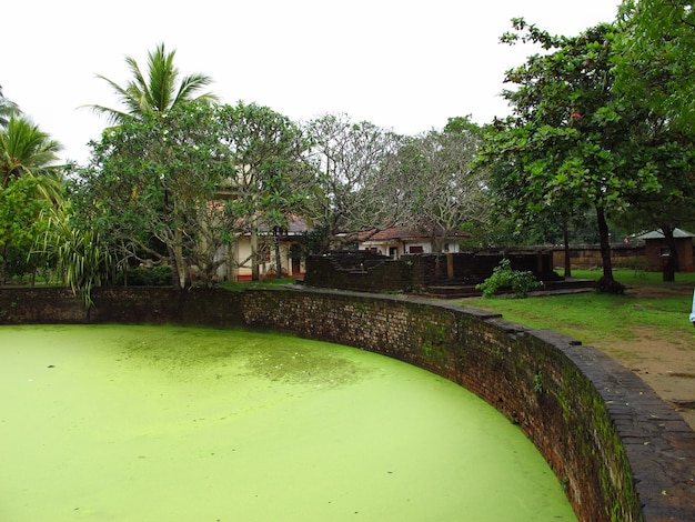 Photo vintage ruins in anuradhapura, sri lanka