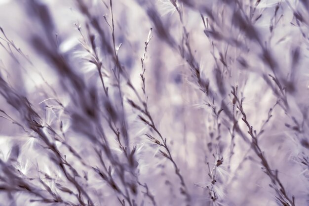 Vintage rustic grass and field abstract nature background