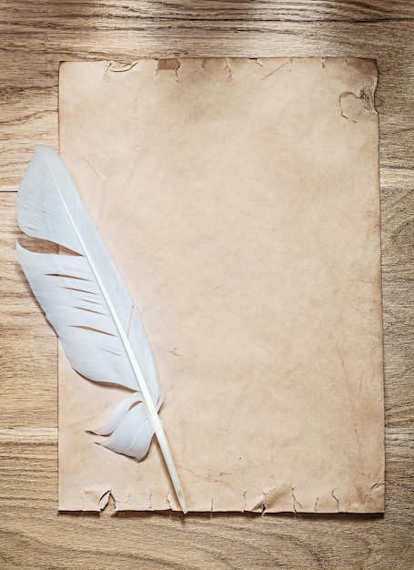 Vintage sheet of paper quill on wooden board