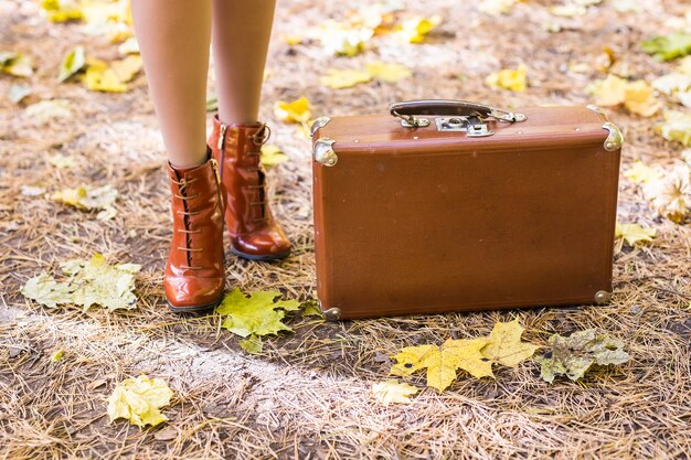 Vintage suitcase standing on fallen autumn leaves