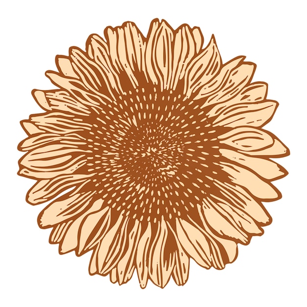 vintage sunflower png art print illustration remix from artworks by samuel jessurun de mesquita