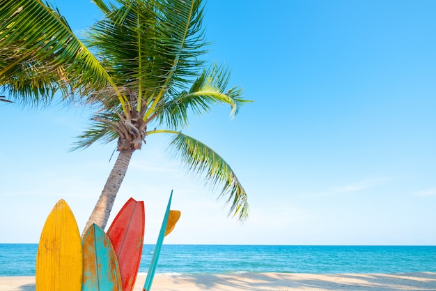 Vintage surf board with palm tree on tropical beach in summer