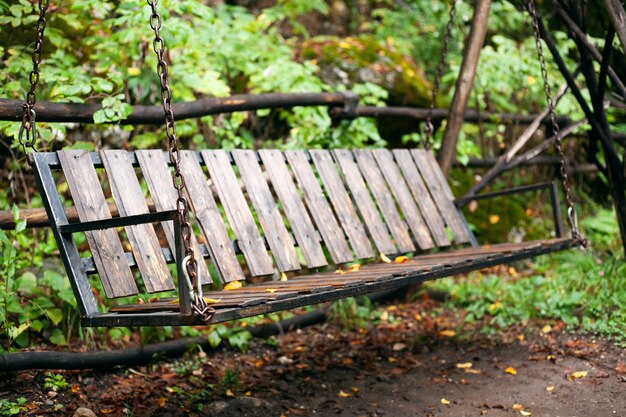 Vintage swing in the forest on a chain