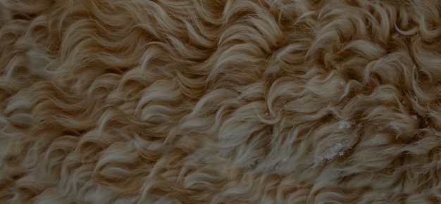 ヴィンテージの織り目加工の生地の表面
