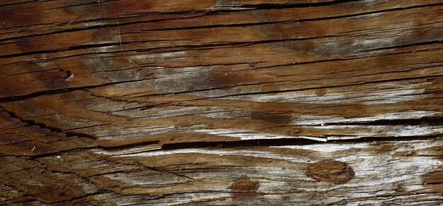 Foto fondo di legno strutturato dell'annata