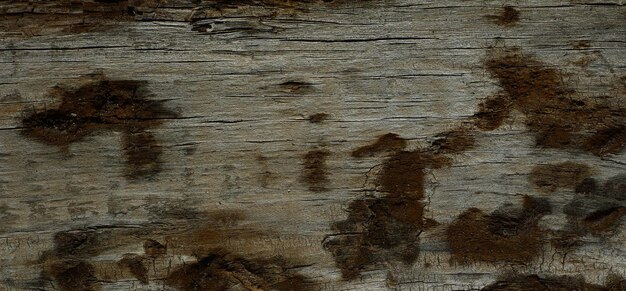 vintage textured wooden background