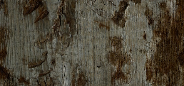 写真 ヴィンテージの質感のある木製の表面