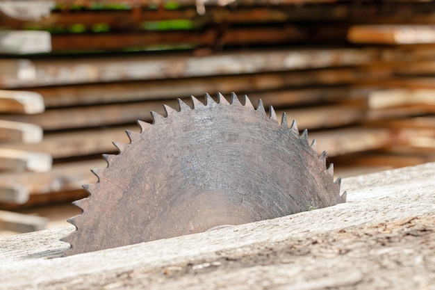 Photo vintage timber circular blade