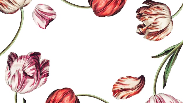 Vintage tulip flower frame design element