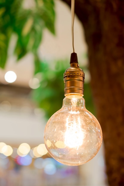 Lampadine del tungsteno d'annata che appendono sull'albero con la priorità bassa del bokeh