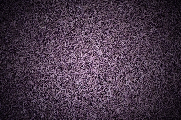 Vintage violet or purple grass and texture filed background in dark tone