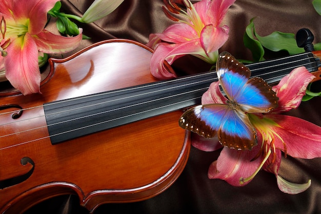 写真 ヴィンテージ バイオリン ピンク リリー フラワー ブルー トロピカル モルフォ メロディー コンセプト